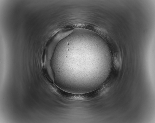 X0000087610668200704271341