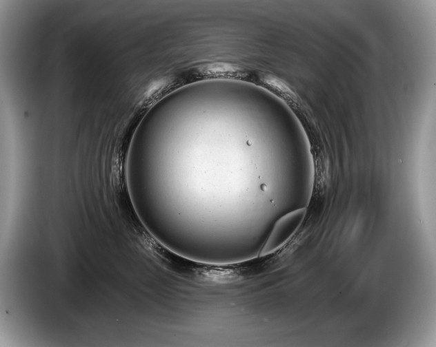 X0000087610669200704271342