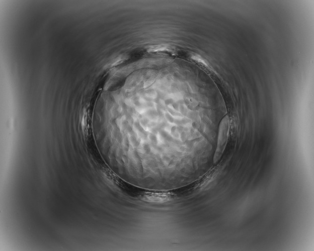 X0000087610671200704271342