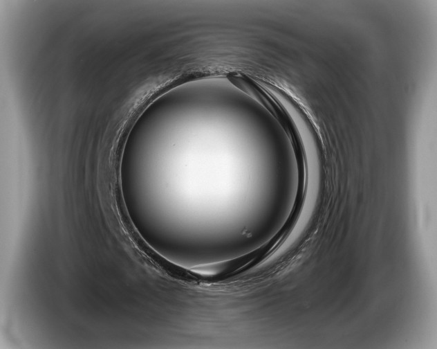 X0000087610673200704271341