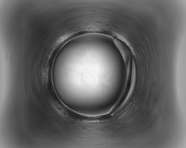 X0000087610675200704271341