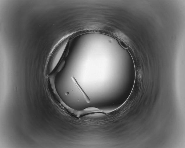 X0000087610676200704271341