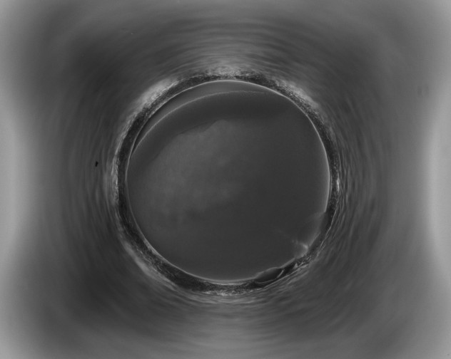X0000087610678200704271341
