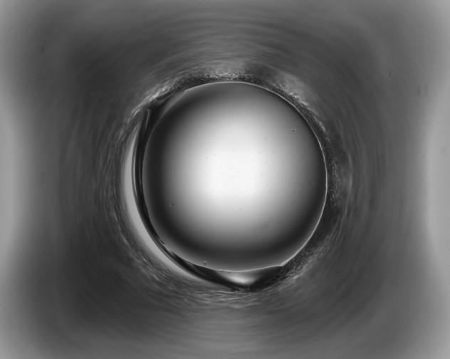 X0000087610681200704271341