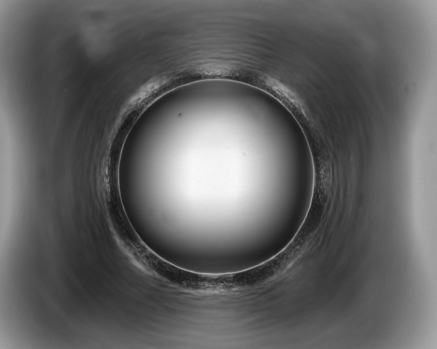 X0000087610682200704271341