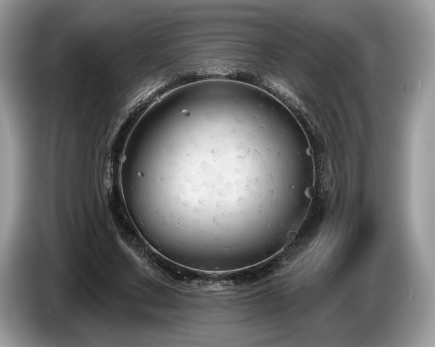 X0000087610683200704271341