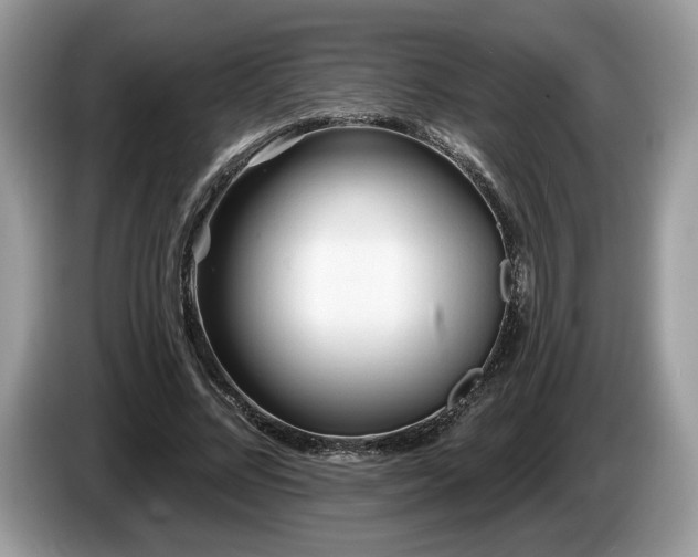 X0000087610684200704271341