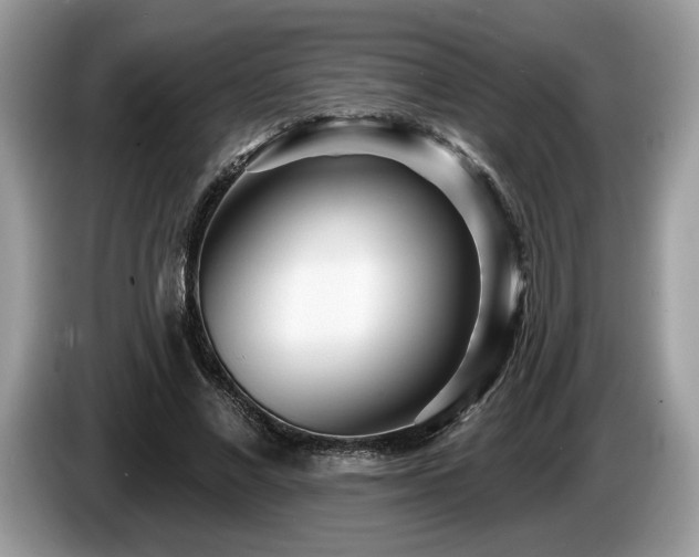 X0000087610685200704271341