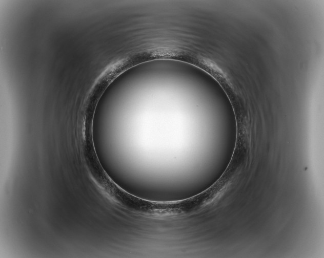 X0000087610686200704271341