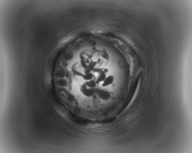X0000087610687200704271341