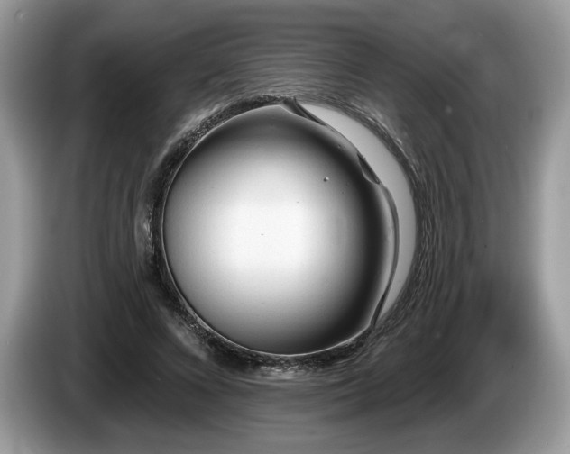 X0000087610688200704271341