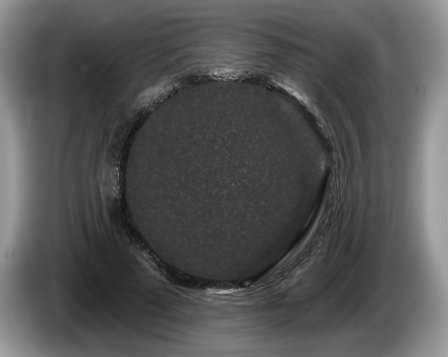 X0000087610689200704271341