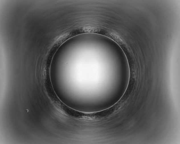 X0000087610690200704271341