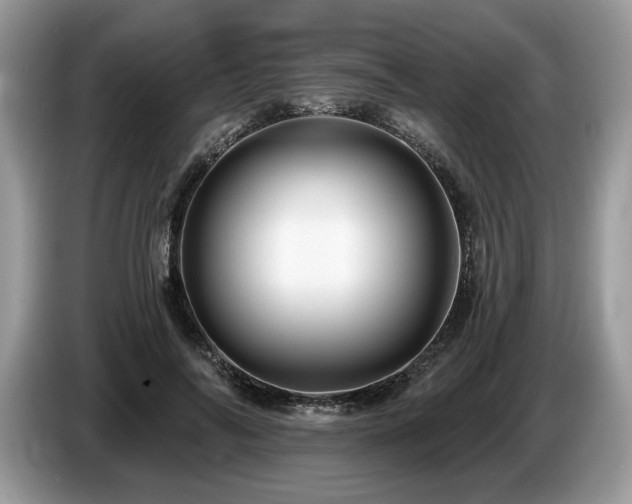 X0000087610694200704271341