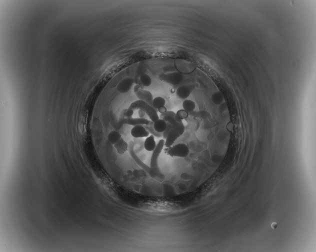 X0000087610695200704271341