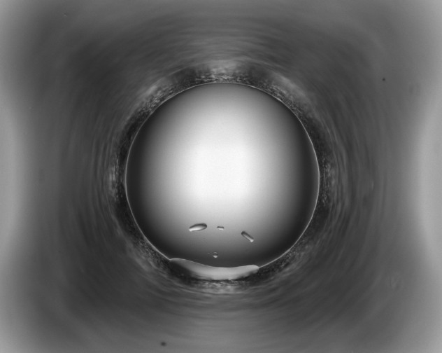 X0000087610698200704271341
