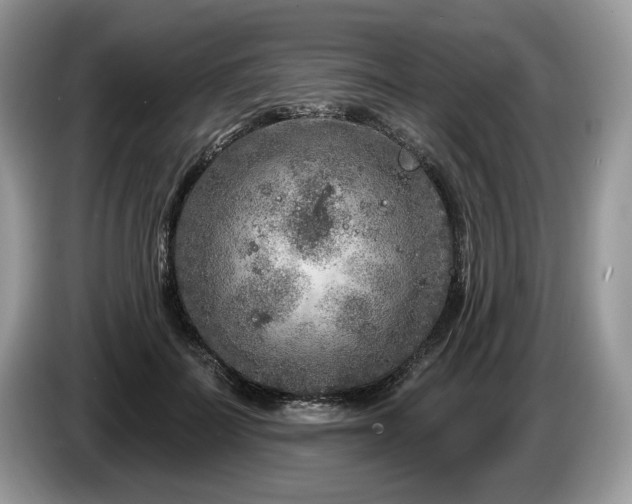 X0000087610699200704271341