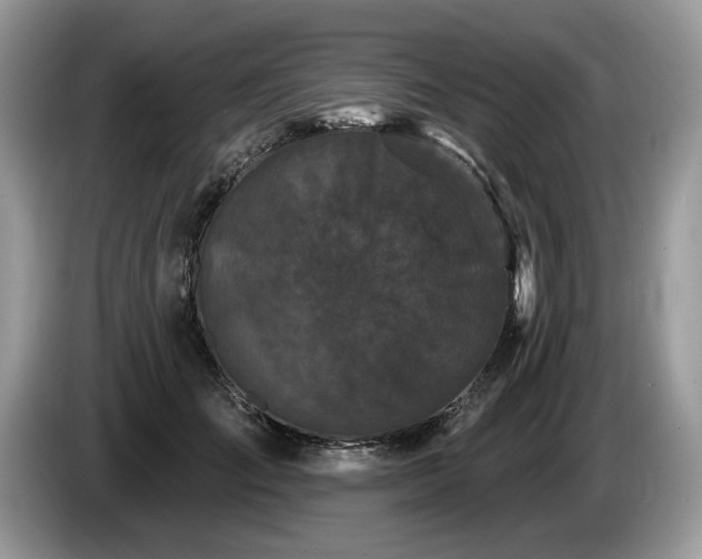 X0000087610701200704271341