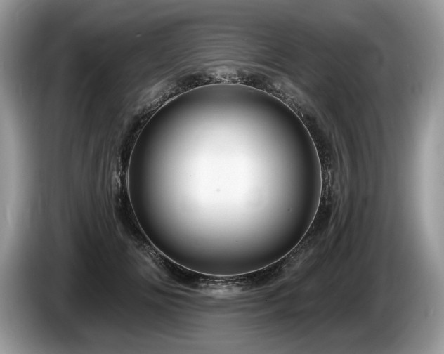 X0000087610702200704271341