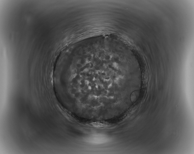 X0000087610703200704271341