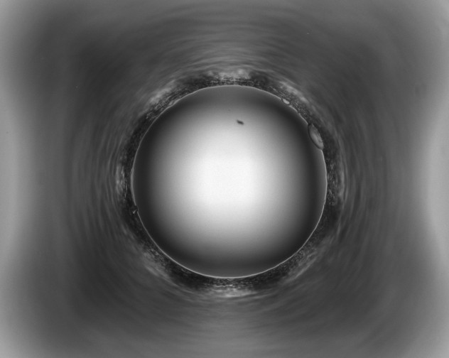 X0000087610704200704271341