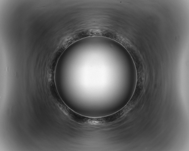 X0000087610706200704271341