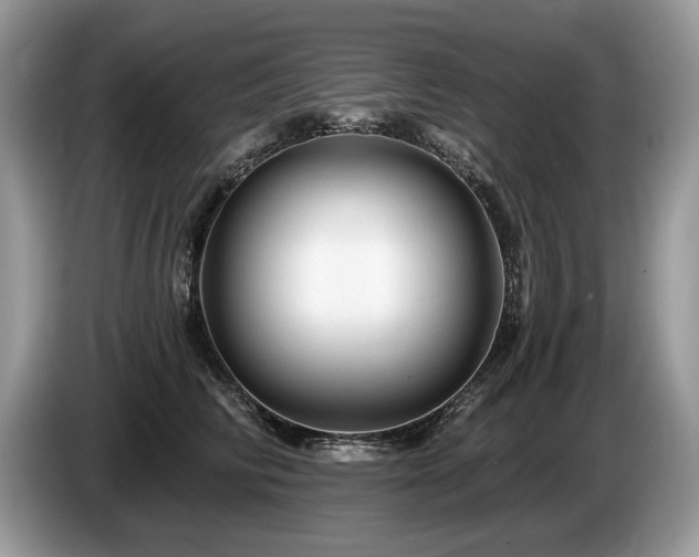 X0000087610710200704271341
