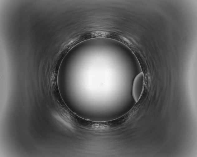 X0000087610714200704271340