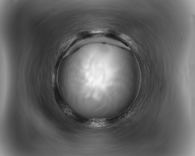 X0000087610720200704271340