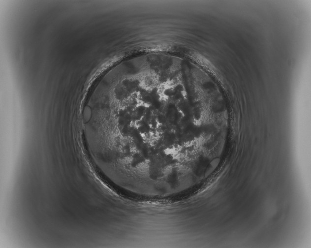 X0000087610721200704271340