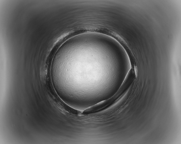X0000087610723200704271340