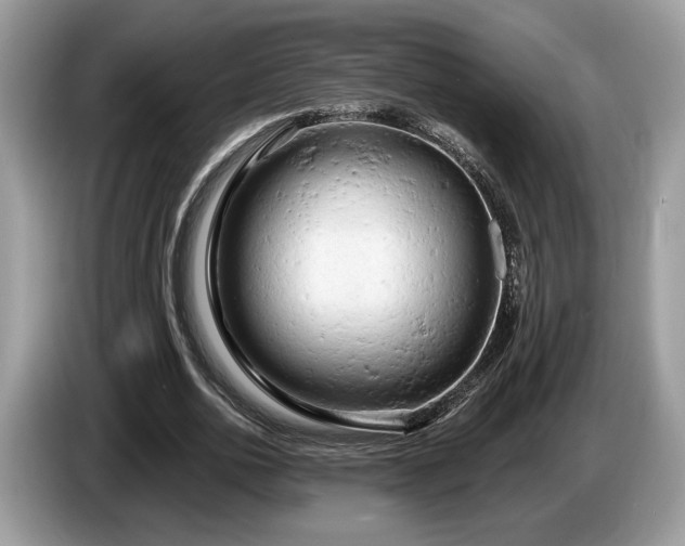X0000087610726200704271340