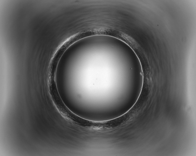 X0000087610728200704271340