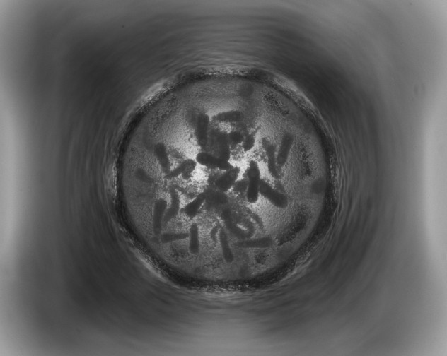 X0000087610729200704271340