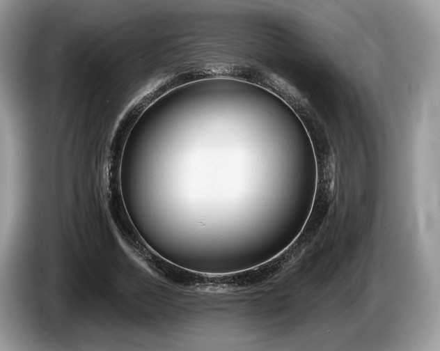 X0000087610730200704271340
