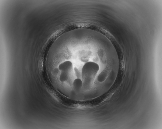 X0000087610733200704271340