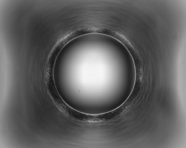 X0000087610736200704271340