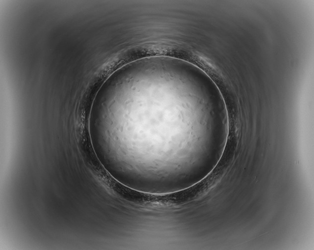 X0000087610737200704271340