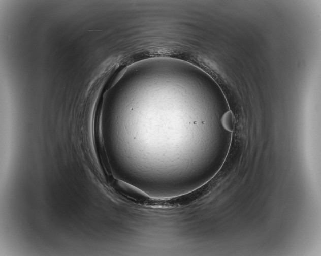 X0000087610738200704271340