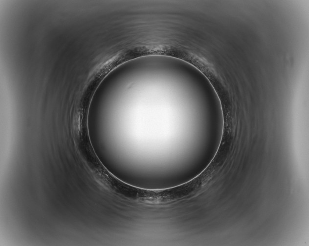 X0000087610740200704271340