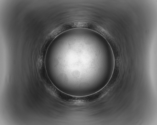 X0000087610741200704271340