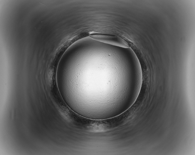 X0000087610742200704271340