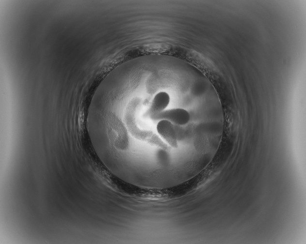 X0000087610745200704271340