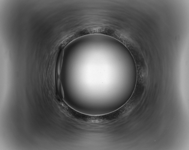 X0000087610746200704271340