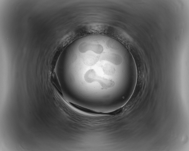 X0000087610749200704271340