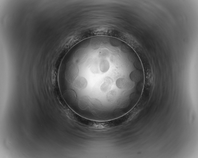 X0000087610753200704271340