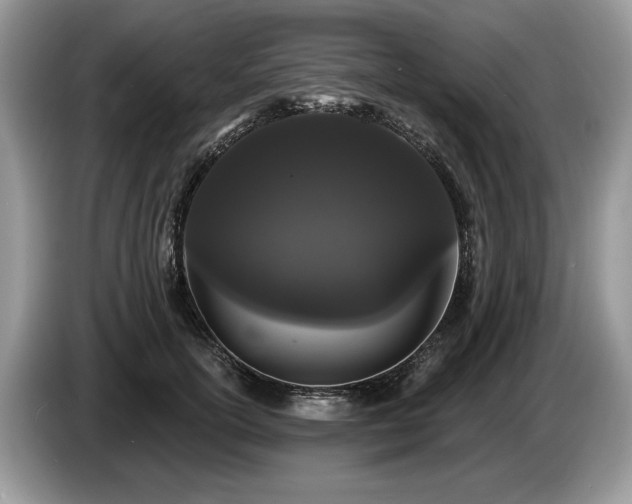 X0000087610754200704271340
