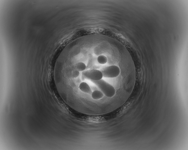 X0000087610757200704271340