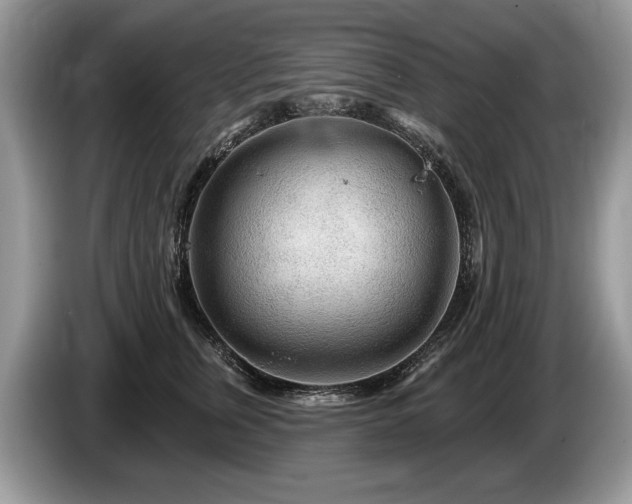 X0000087610759200704271340