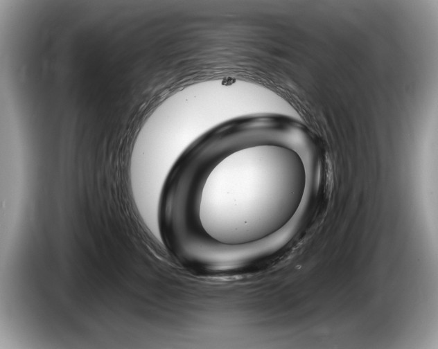 X0000087610760200704271340